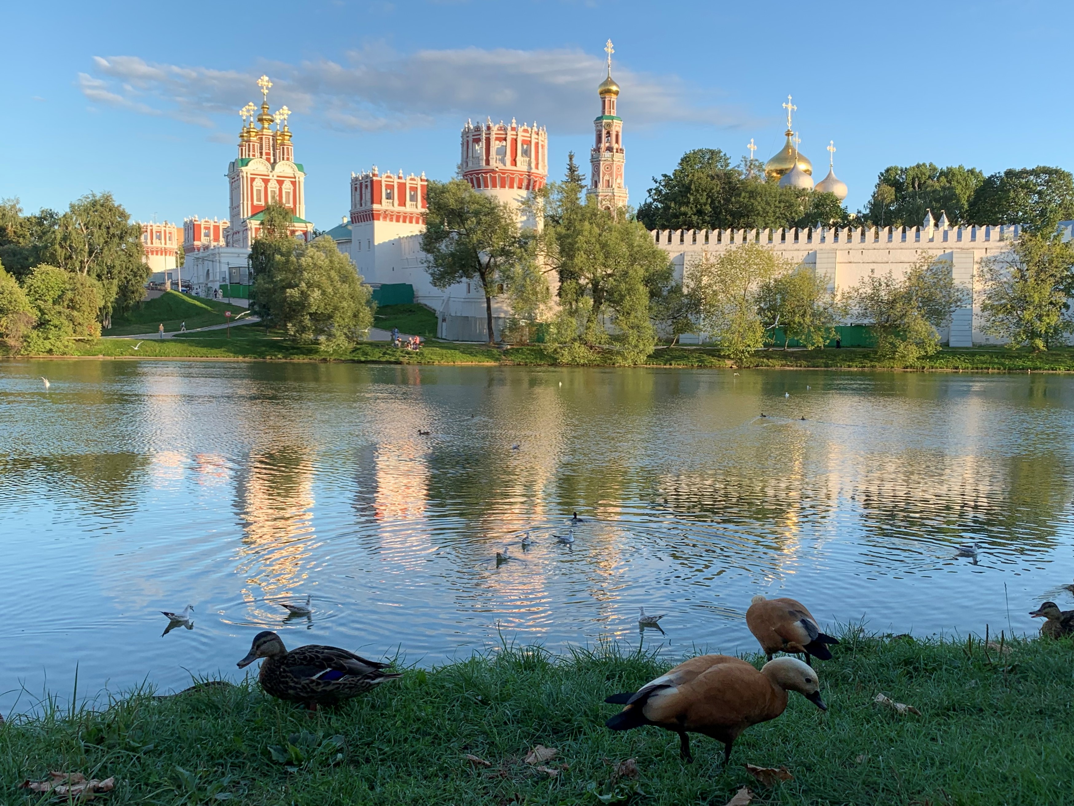 Novodevichy